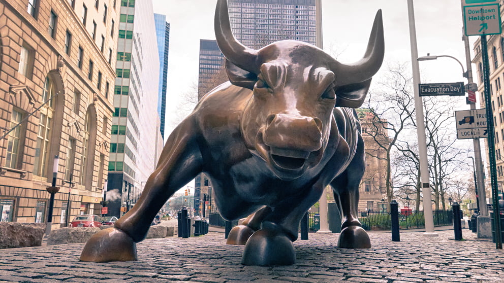 Silueta de un toro que representa el crecimiento en el Forex