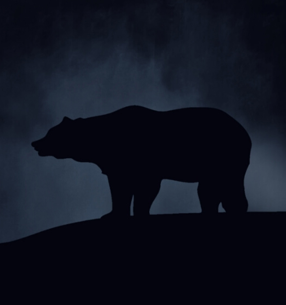 FXI Bearish Candlestick