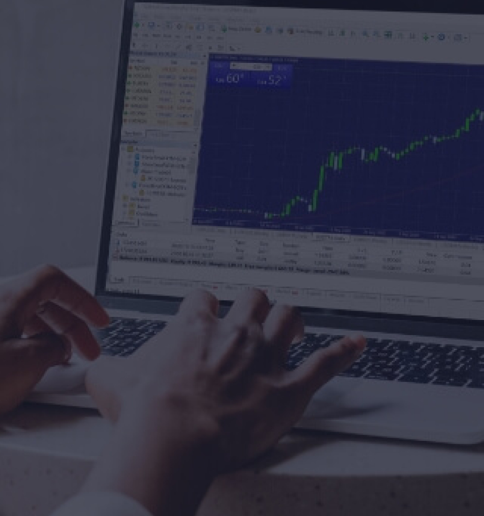 FXI Online Stock Trading Guide